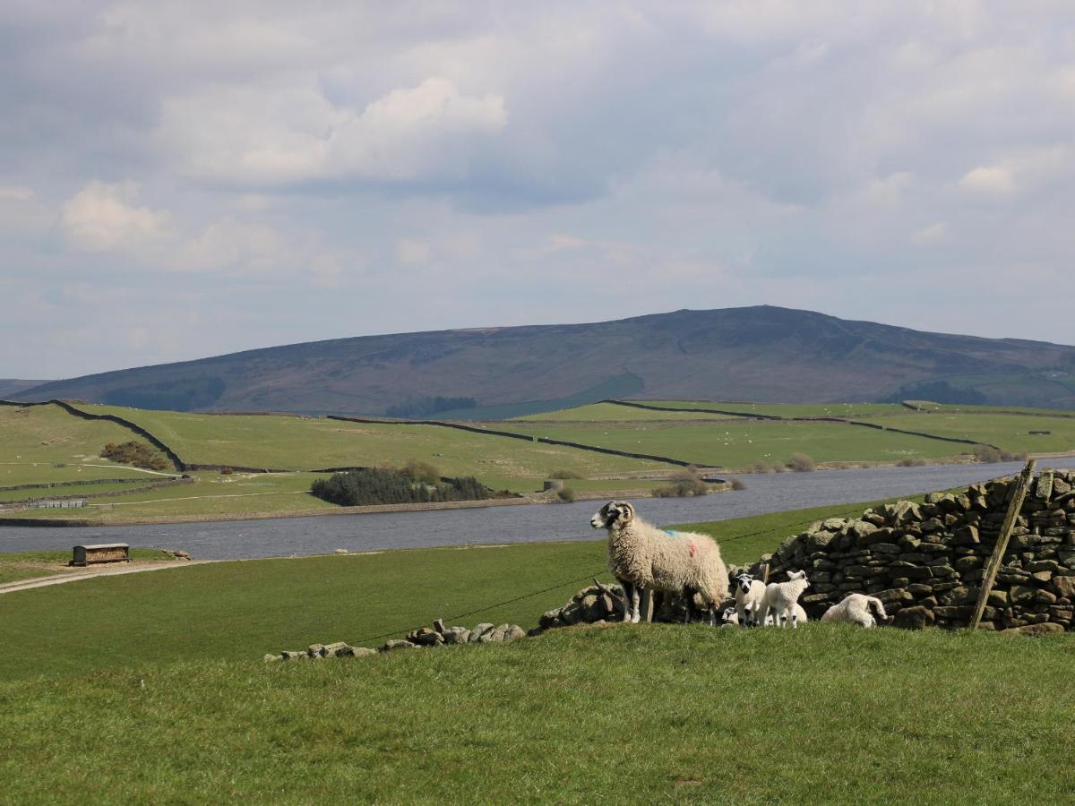 Vila Crane Field Laithe Airton Exteriér fotografie