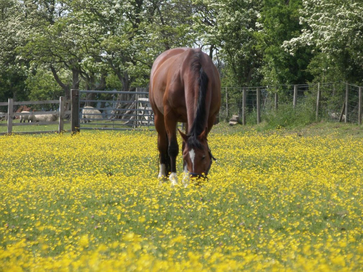 Vila Crane Field Laithe Airton Exteriér fotografie
